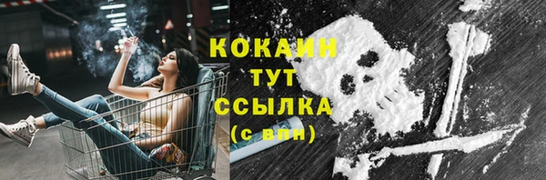 ГАЛЛЮЦИНОГЕННЫЕ ГРИБЫ Абаза
