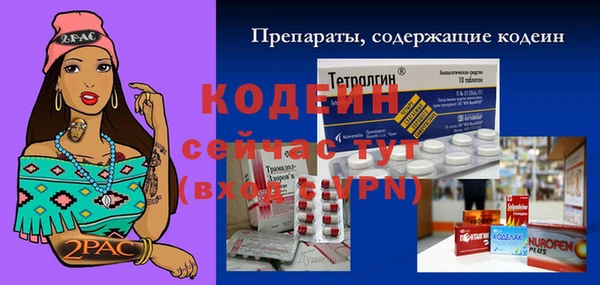 ГАЛЛЮЦИНОГЕННЫЕ ГРИБЫ Абаза