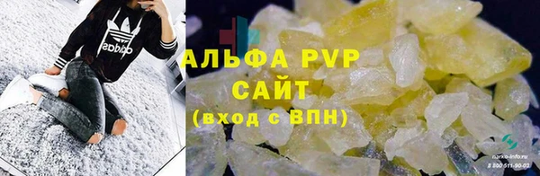 ГАЛЛЮЦИНОГЕННЫЕ ГРИБЫ Абаза