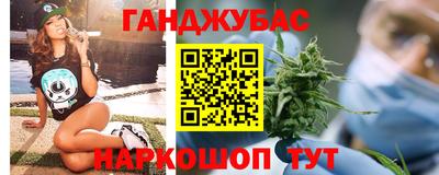 крисы Кунгур