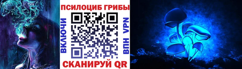 как найти наркотики  гидра как войти  Псилоцибиновые грибы Psilocybine cubensis  Камень-на-Оби 