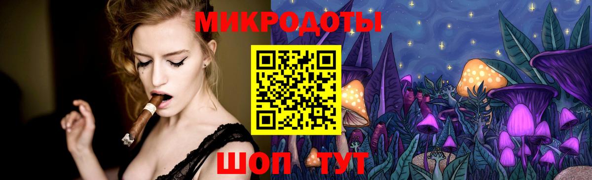 Камень-на-Оби  Галлюциногенные грибы GOLDEN TEACHER  Вход с VPN 