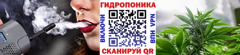Канабис SATIVA & INDICA  где найти наркотики  Камень-на-Оби 